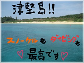 海に！！！！！