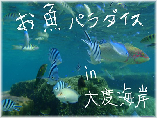 半日と半日で、１日。