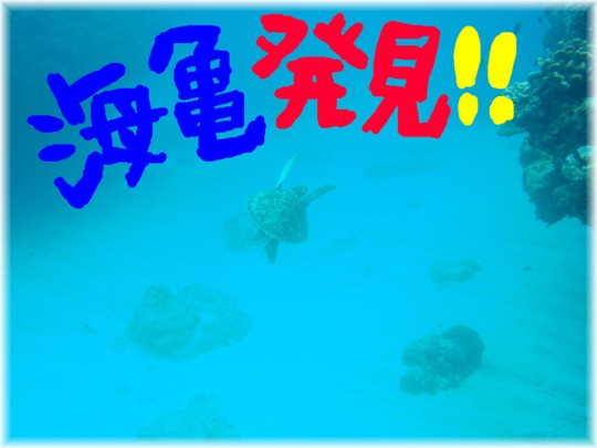 まさかの遭遇!!