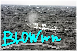 明けましておめでとうございます。