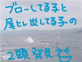 照れ屋さん??
