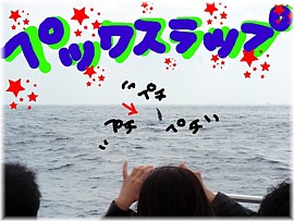 親子クジラの日☆