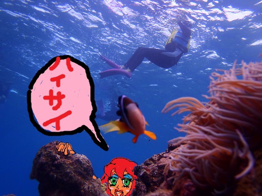 SARUと言えばバナナ バナナといえば夏!なんだぞ♫・・・の巻(・ω<)