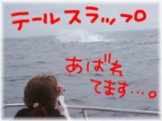 クジラとの距離がーー！！