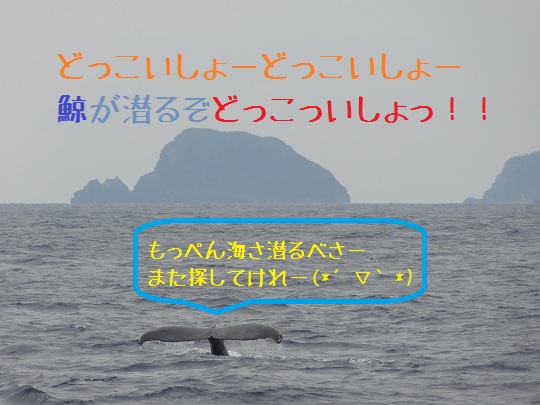 今日もクジラ出たべさー(*´▽｀*)