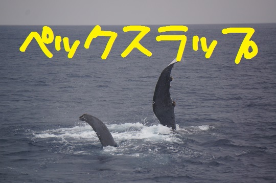 残すところあと10日…