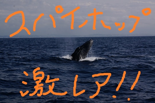 あれ?もう夏きた?笑
