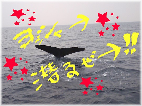 本日も・・・ホエ~ル!吠え~る!