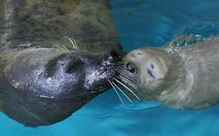 水族館♪