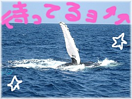 クジラさん…忙しいな＼(゜ロ＼)(／ロ゜)／