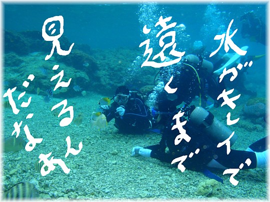 ホエール&ダイビング!