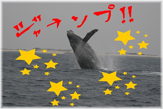 建国記念だよー!