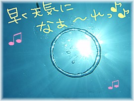 明日、天気になぁ～れっ！！