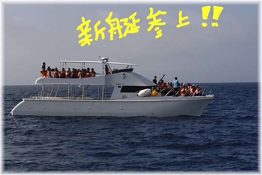 晴天のデビュー!