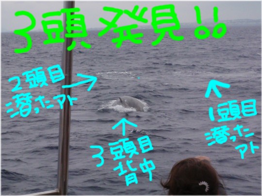 興奮しっぱなしの1日でした!