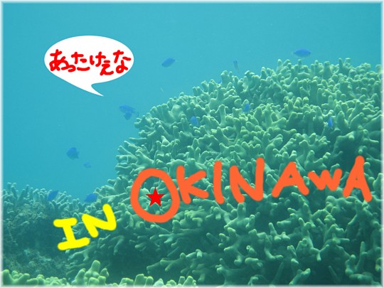 夏!!先取り☆