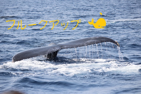 おひさしぶりーち!