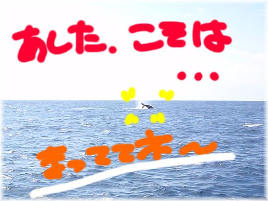 願いを込めて・・・明日こそは☆