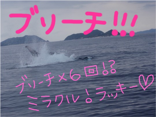 飛びます!飛びます!