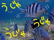 クジラいっぱい!