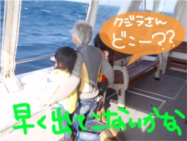 もう夏ですか?