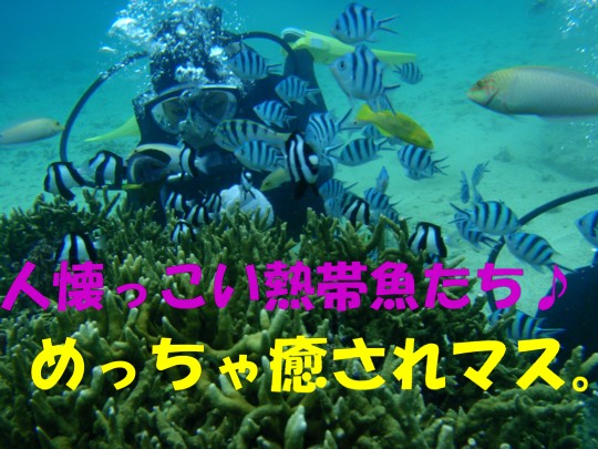 うさぎ年カモ～ン♪