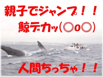 おかえりなさい。クジラさん(^O^)