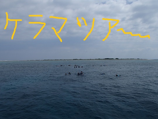 寒さも吹き飛ぶ激アツマリンアクティビティ!