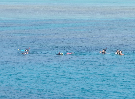 沖縄の海でダイビング体験！