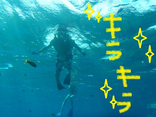 夢の島、沖縄～♪