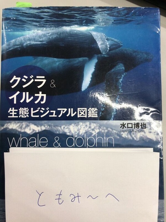 クジラさんＢＯＯＫＧＥＴ！！