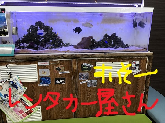 台風は通り過ぎたけどー・・・