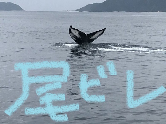 穏やかな海☆