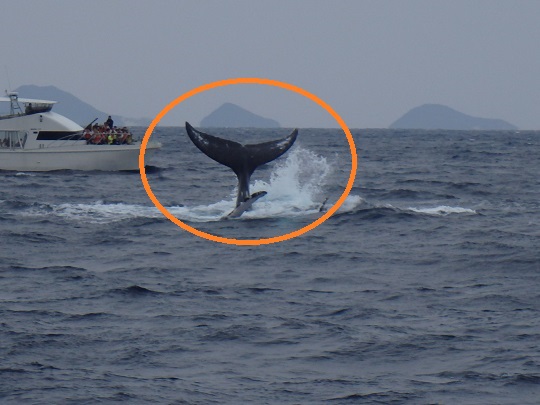 沖縄にも冬が到来!?