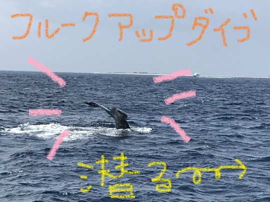 クジラさんの気分♪