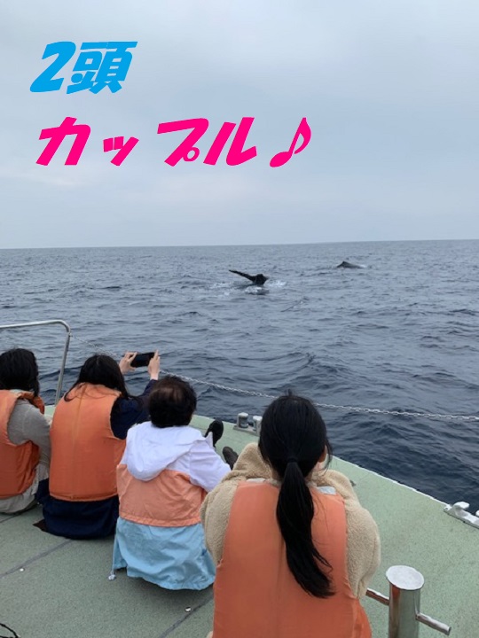 雨が降ったり、止んだり・・・