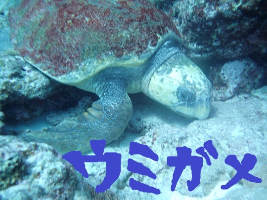 晴れ時々雨( *´艸｀)