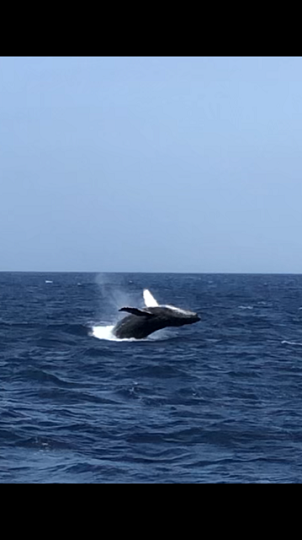 クジラさん・・・ありがとう！