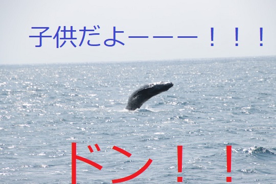 久しぶりの出航!!!