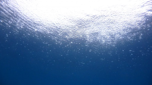 お天気も海も大忙し