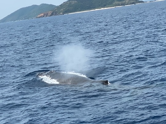 島の近くでゆったりと(´ω｀*)