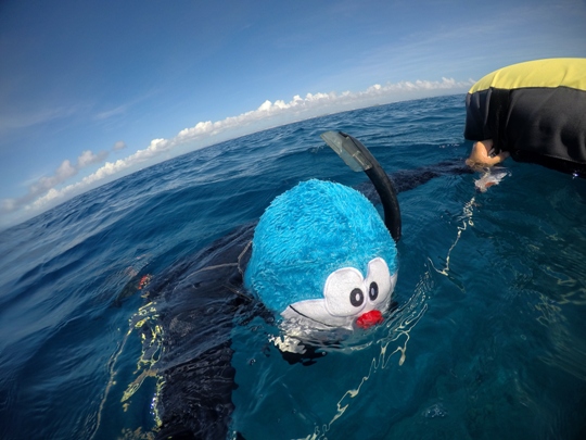 あーした天気になーぁれ！