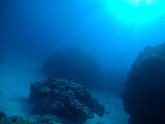 慶良間諸島