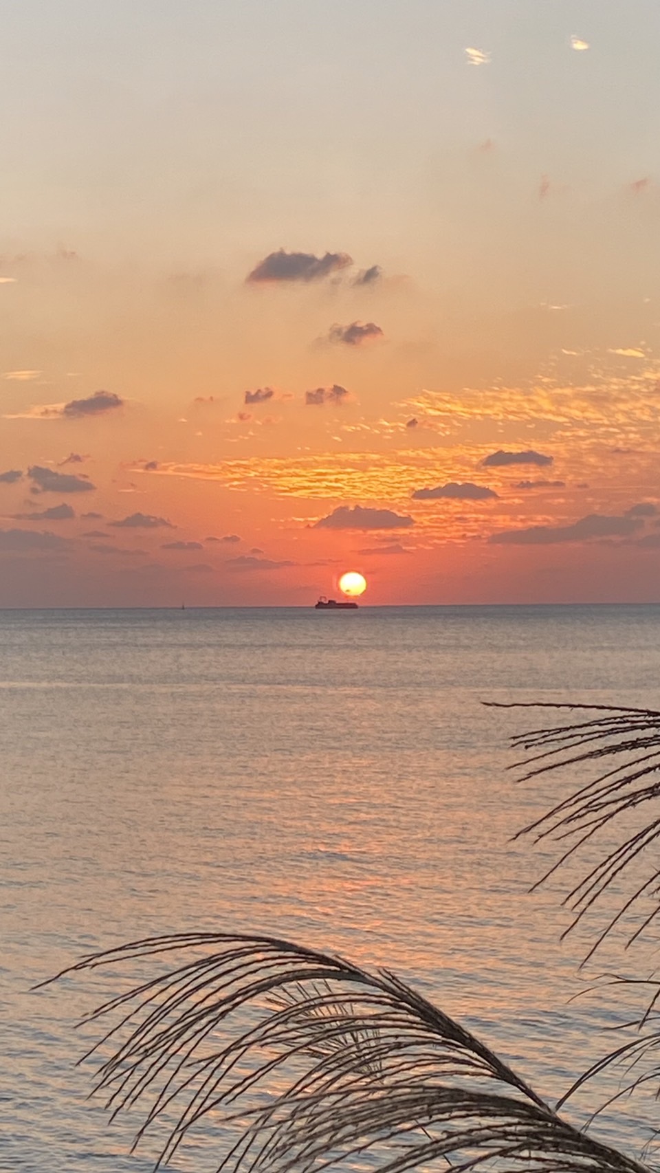 夕日が海ポチャ