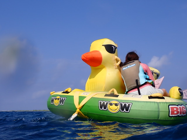 毎日が夏日