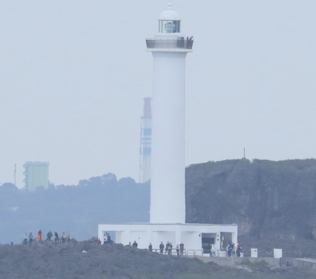 クジラときどきイルカ