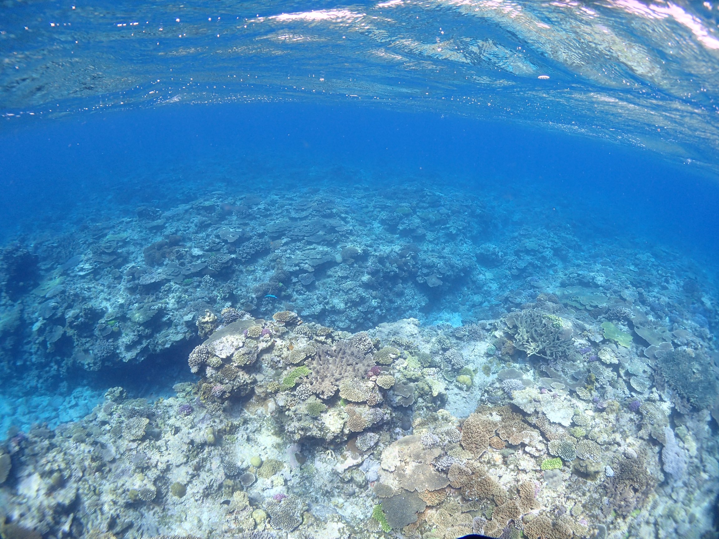 海日和！！