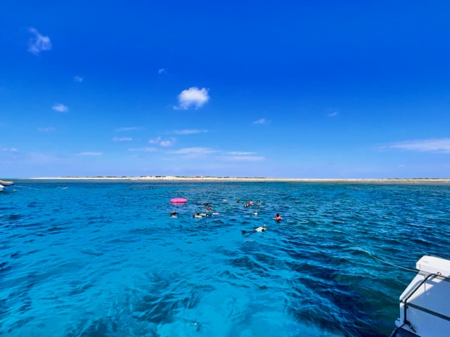 慶良間諸島シュノーケリング