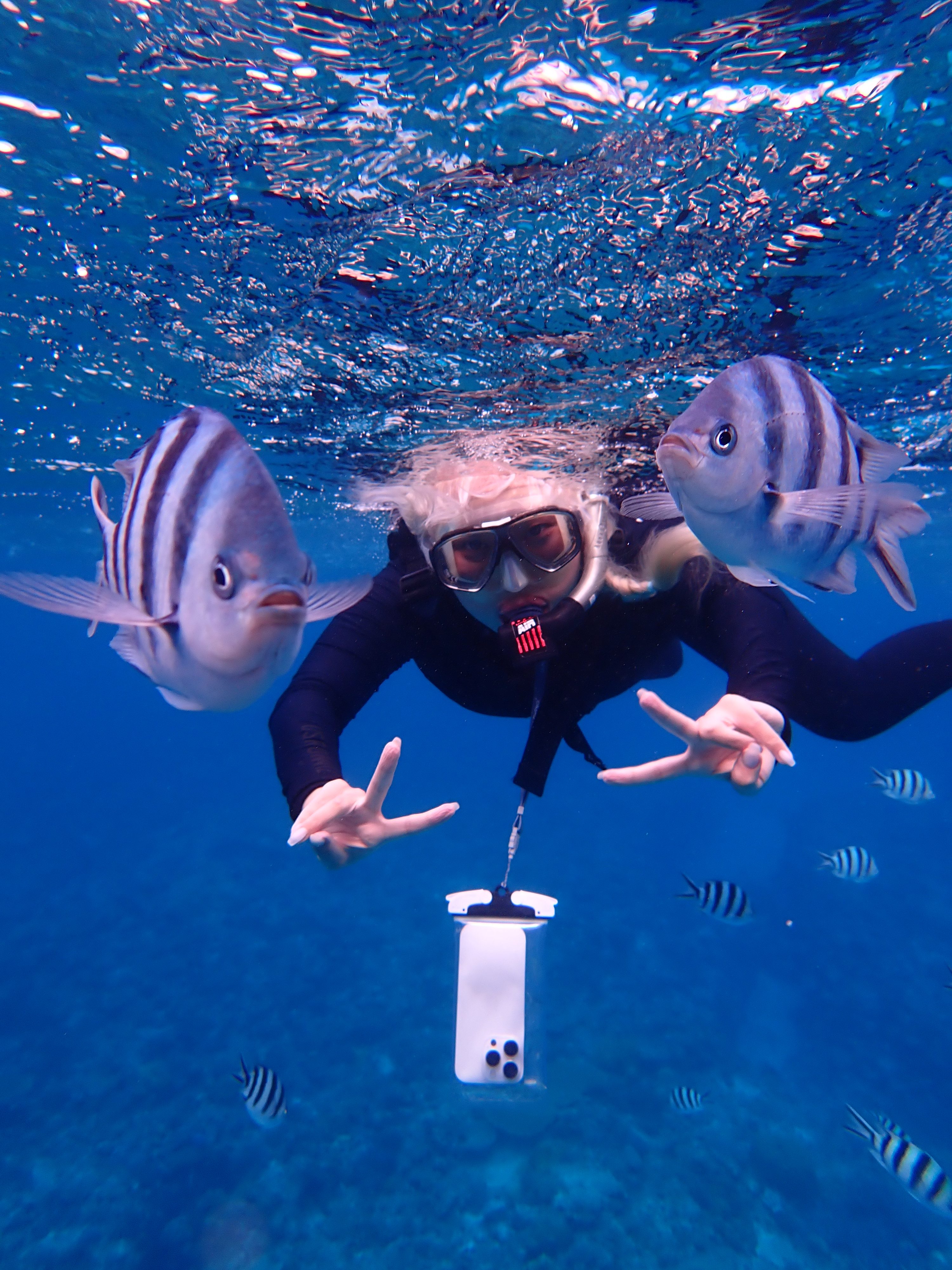 慶良間シュノーケリング