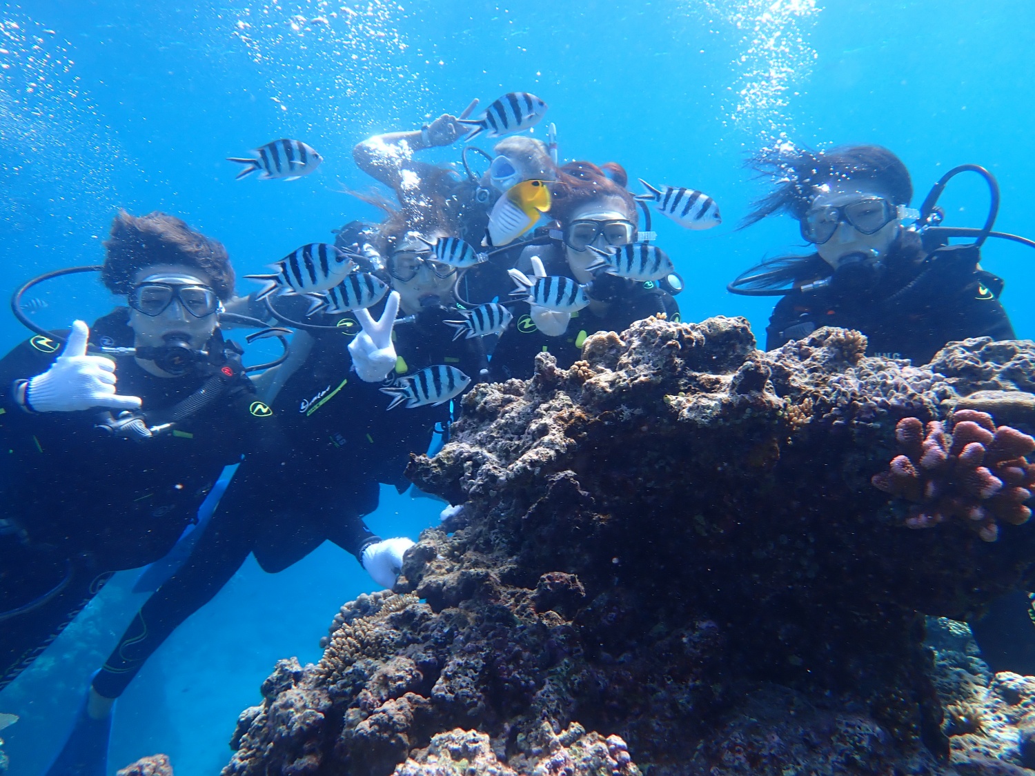 慶良間諸島シュノーケリング